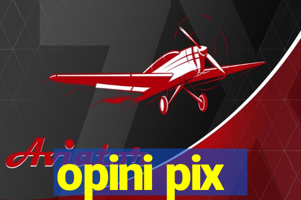 opini pix